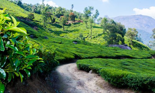 Best Kerala Tour Packages for Family