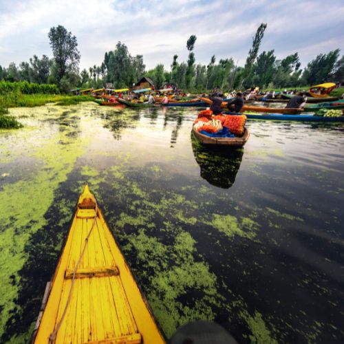 Kashmir Tour Package