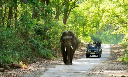 Uttarakhand Tour Packages